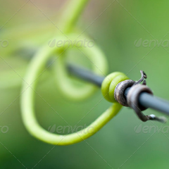 网络电话呼叫软件免费版