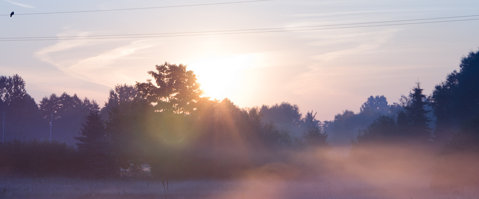 快速版本控制的短信压力测试